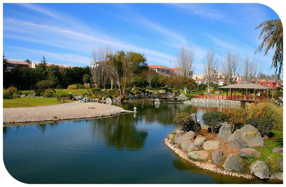 Apartamento Acogedor Departamento Con Piscina, Estacionamiento Privado Y Mas La Serena
